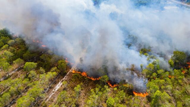 Incendi boschivi in Italia nel 2026