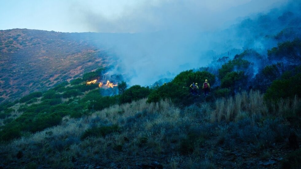 Interventi dei Vigili del Fuoco a Palermo