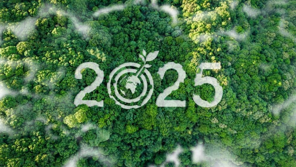 Bilancio di Sostenibilità 2025 Engineering