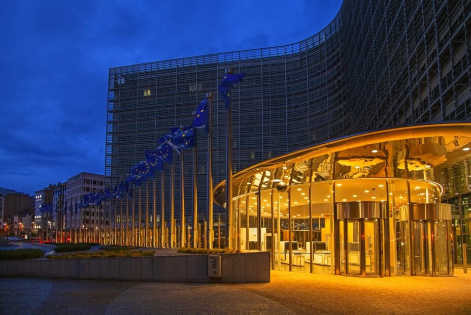 Commissione Europea e regolamentazione accesso minori