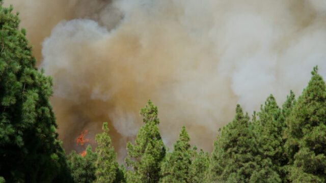 Incendi in Gironda