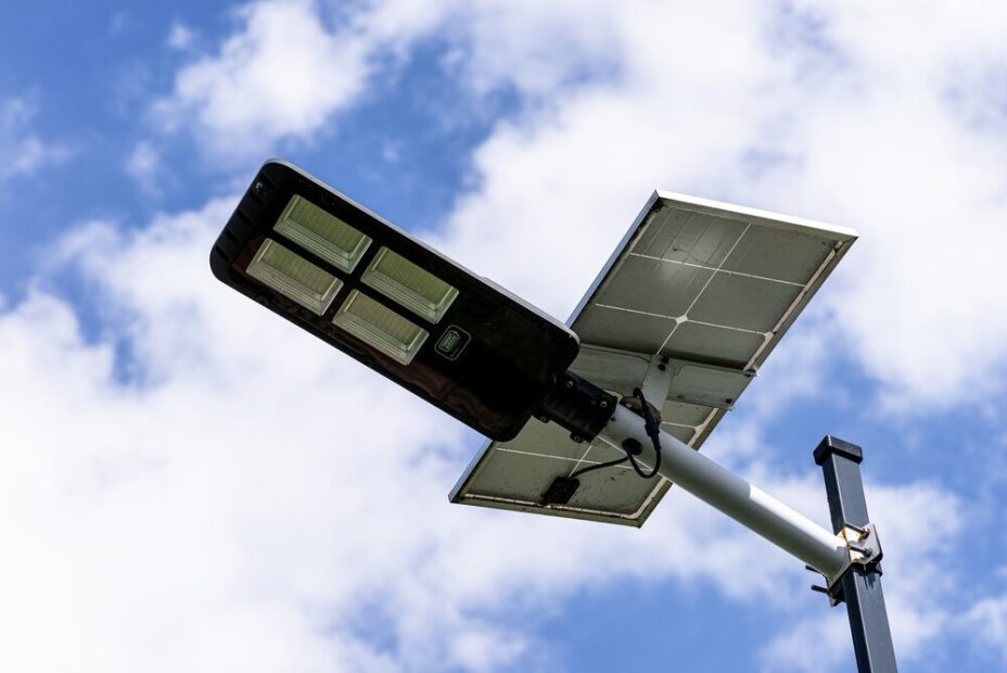 Ortaggi a foglia esposti alla luce