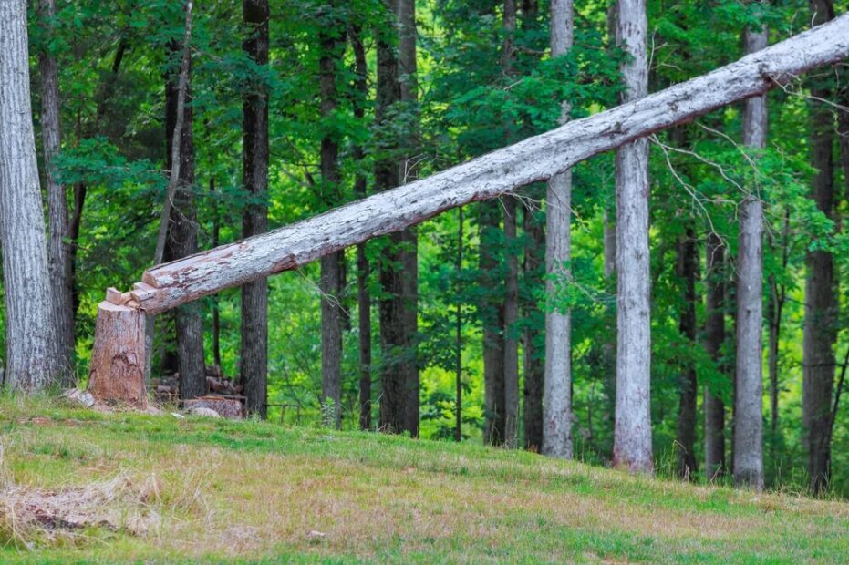 Pannelli in legno e costi produttivi