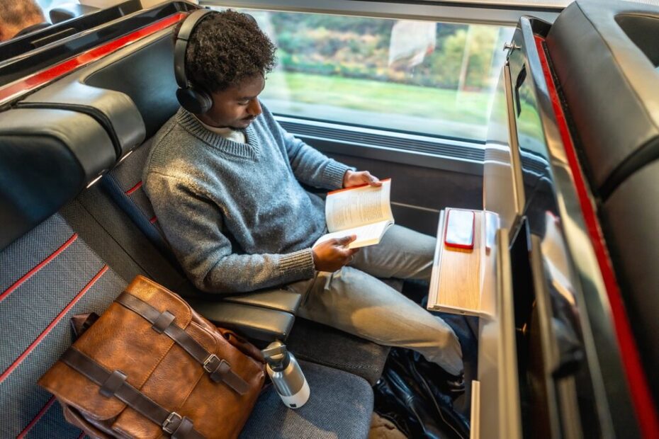 Trasporto pubblico locale in Italia